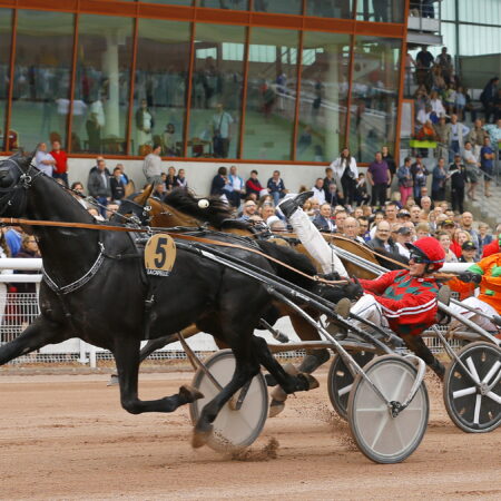 Entre mars et novembre venez vibrer le temps d’une course, à l’Hippodrome International de La Capelle