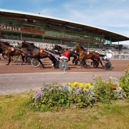 L’hippodrome n’est pas qu’un lieu pour les courses hippiques, c’est également un espace consacré à l’équidé (soins, entraînements…) ou d’animation pour des sensations à partager en famille ou entre amis